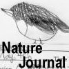 nature journal