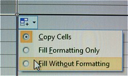 fill-without-formatting