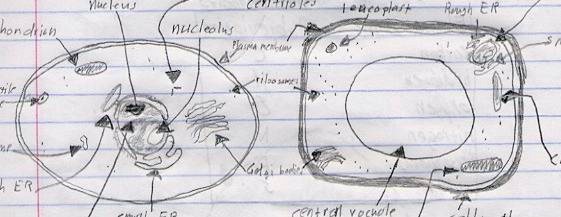 science drawing