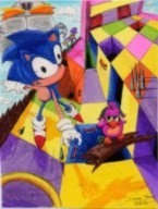 color sonic