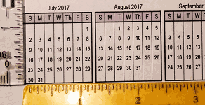 Scale of 36-Month Calendar