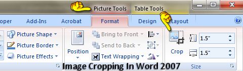 image crop in word