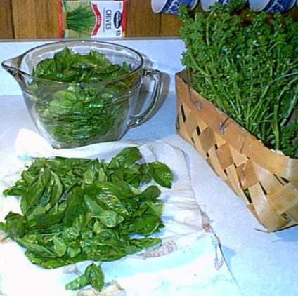 Cleaned Basil and Stripped Basil Stems