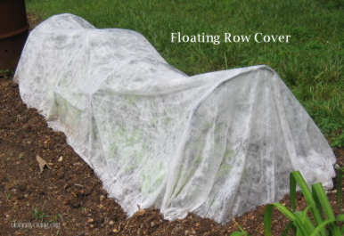 floating row cover