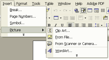 insert picture file menu