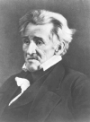 jackson.gif (50920 bytes)